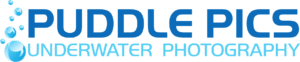 puddle pics logo