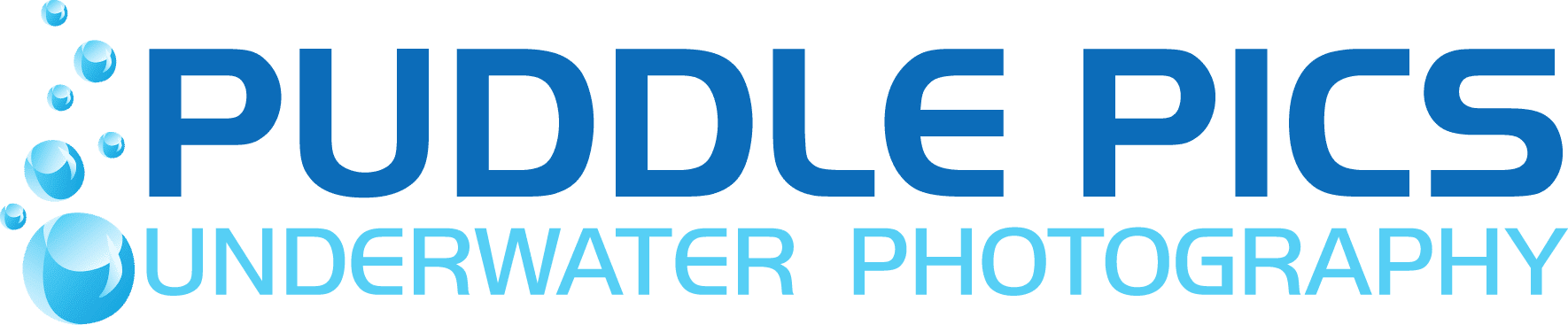 PUDDLE-PICS-LOGO-jpeg